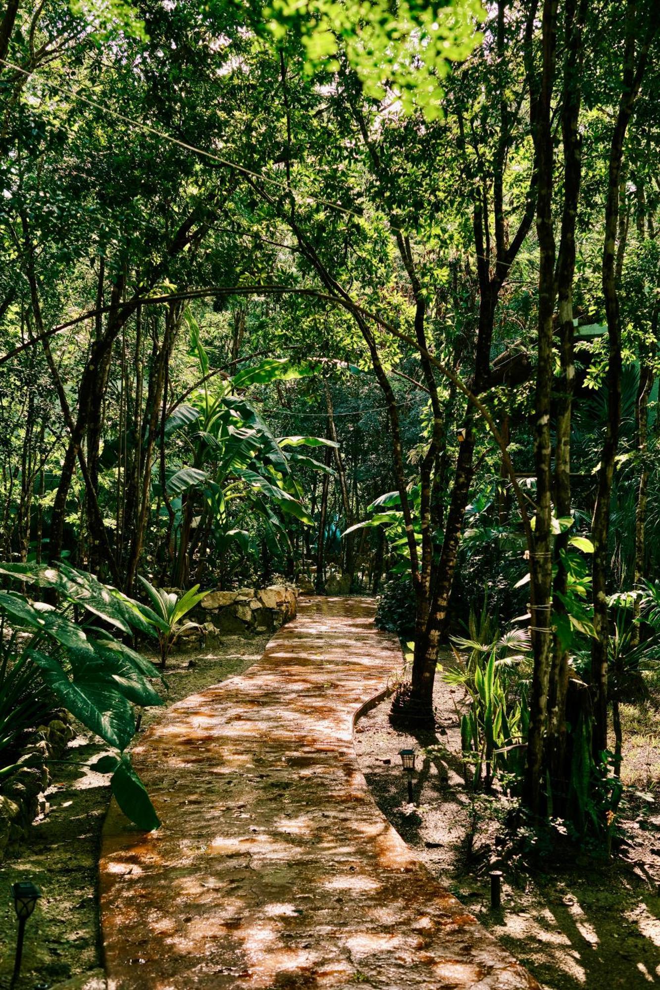 Villas Zamna - Jungle Villas Cozumel Eksteriør bilde