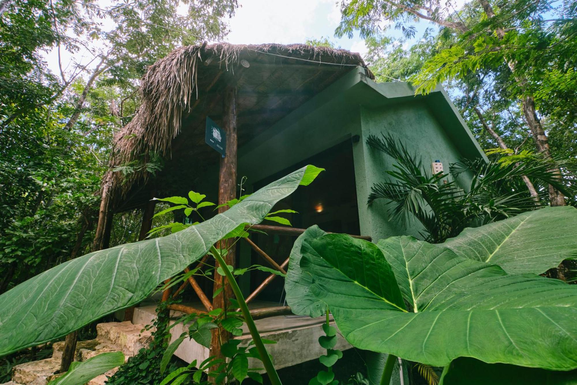 Villas Zamna - Jungle Villas Cozumel Eksteriør bilde