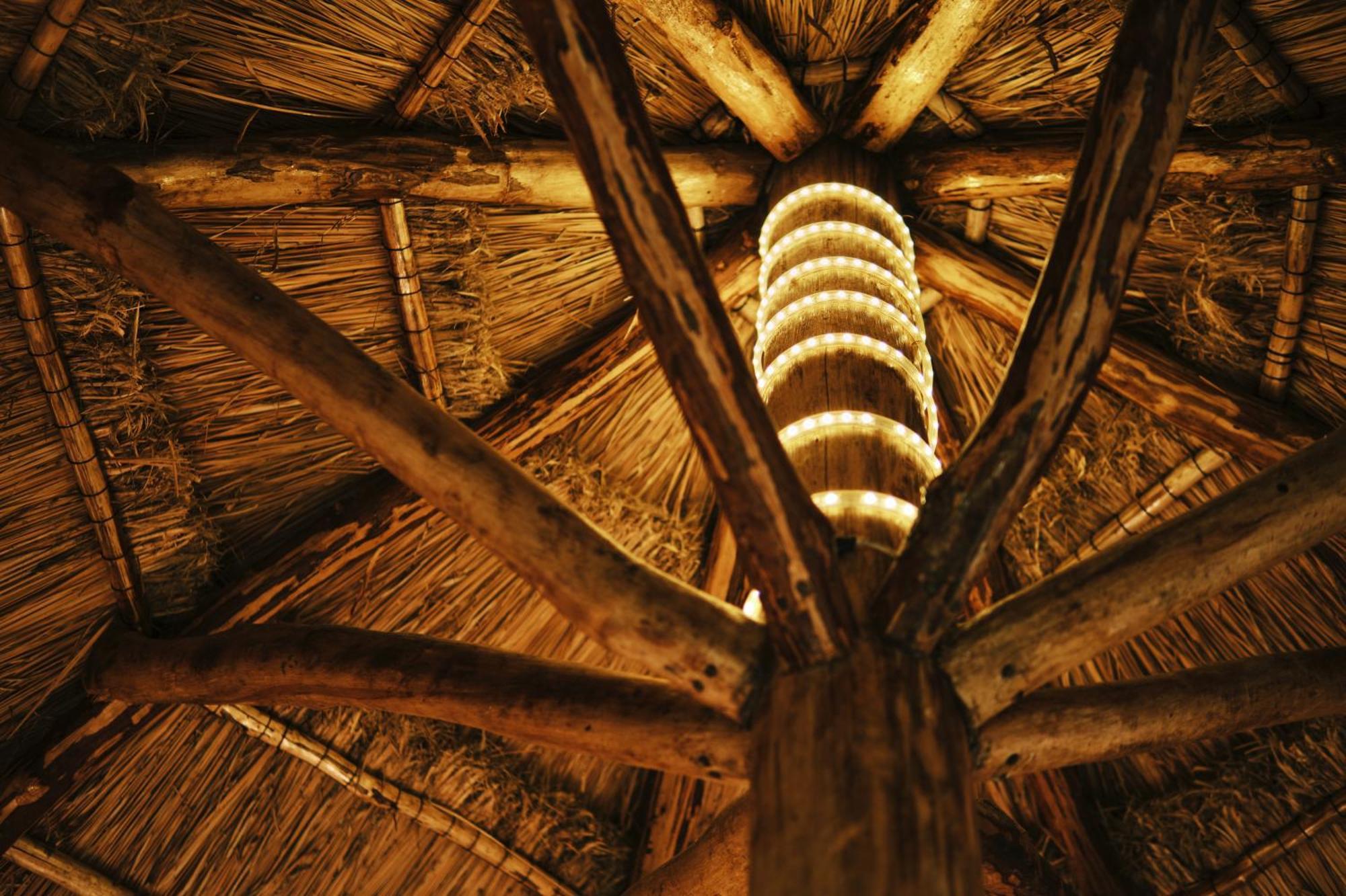 Villas Zamna - Jungle Villas Cozumel Eksteriør bilde