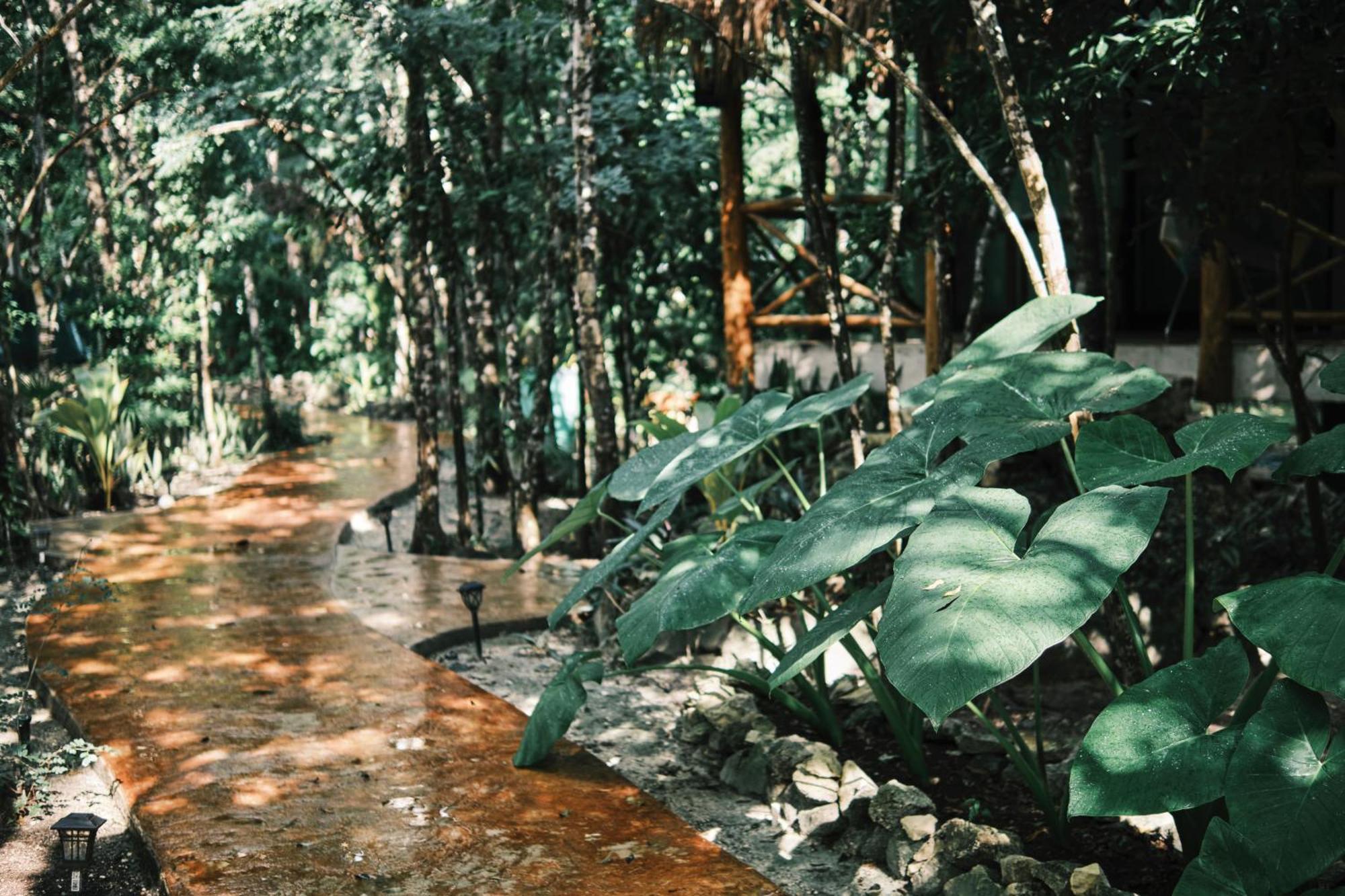 Villas Zamna - Jungle Villas Cozumel Eksteriør bilde