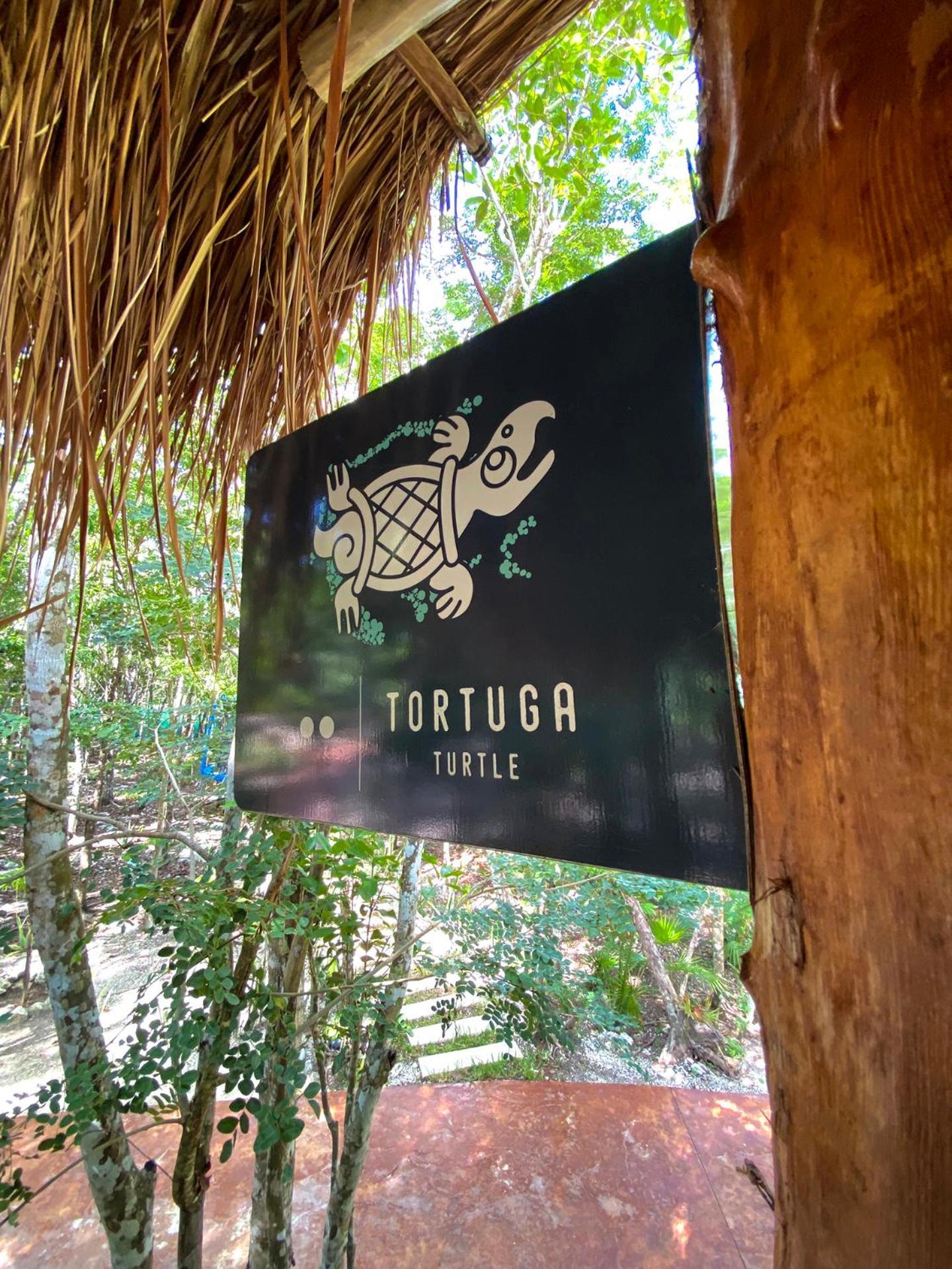 Villas Zamna - Jungle Villas Cozumel Eksteriør bilde