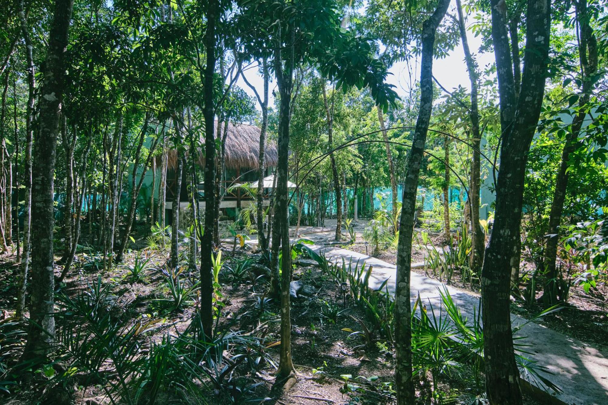 Villas Zamna - Jungle Villas Cozumel Eksteriør bilde