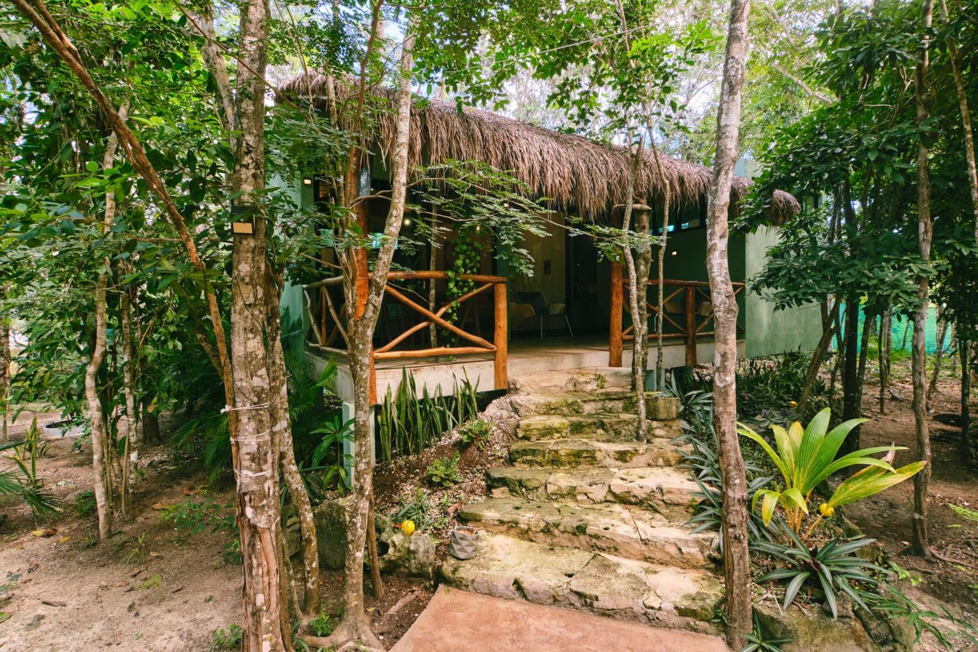 Villas Zamna - Jungle Villas Cozumel Eksteriør bilde