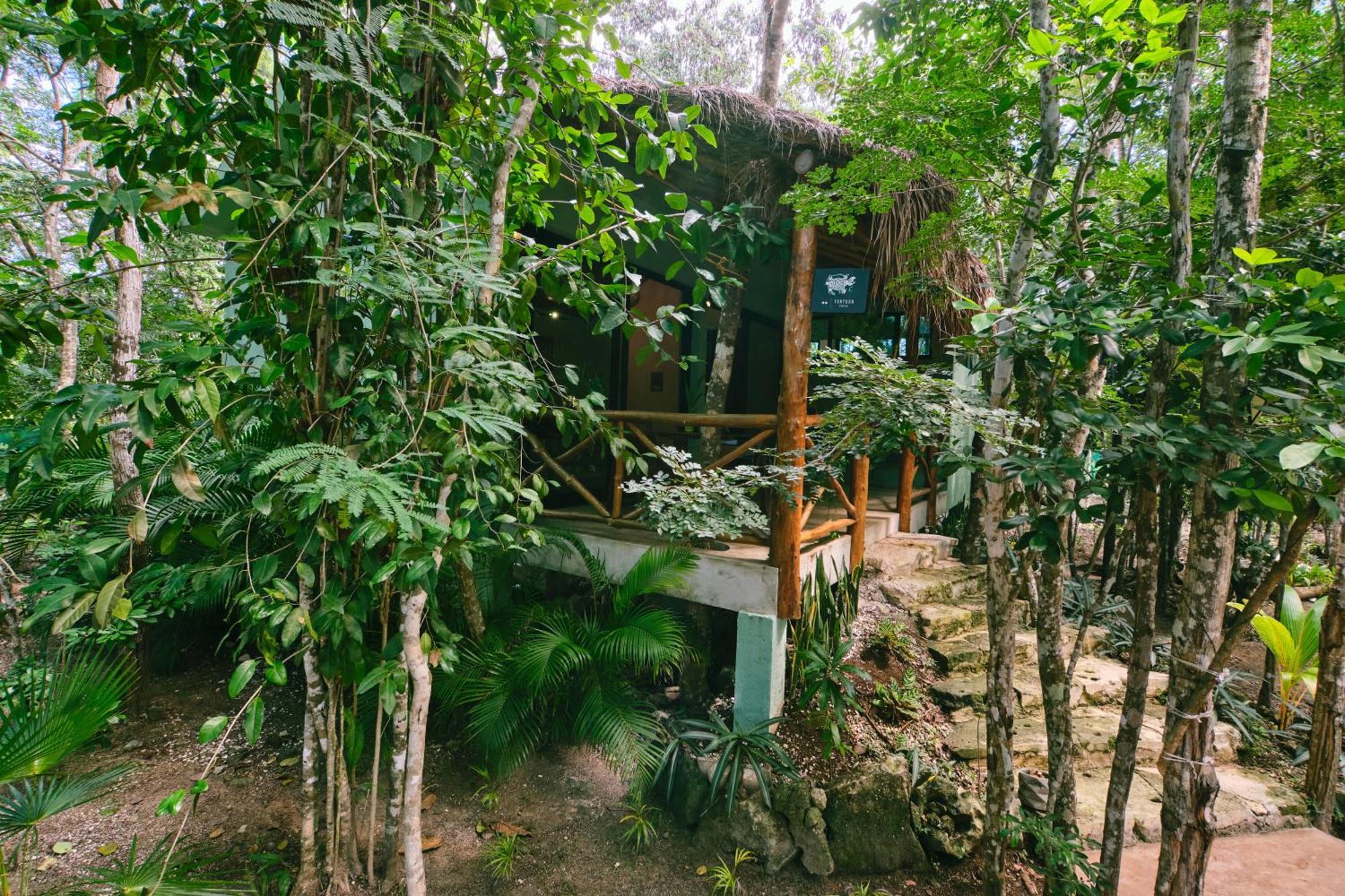 Villas Zamna - Jungle Villas Cozumel Eksteriør bilde