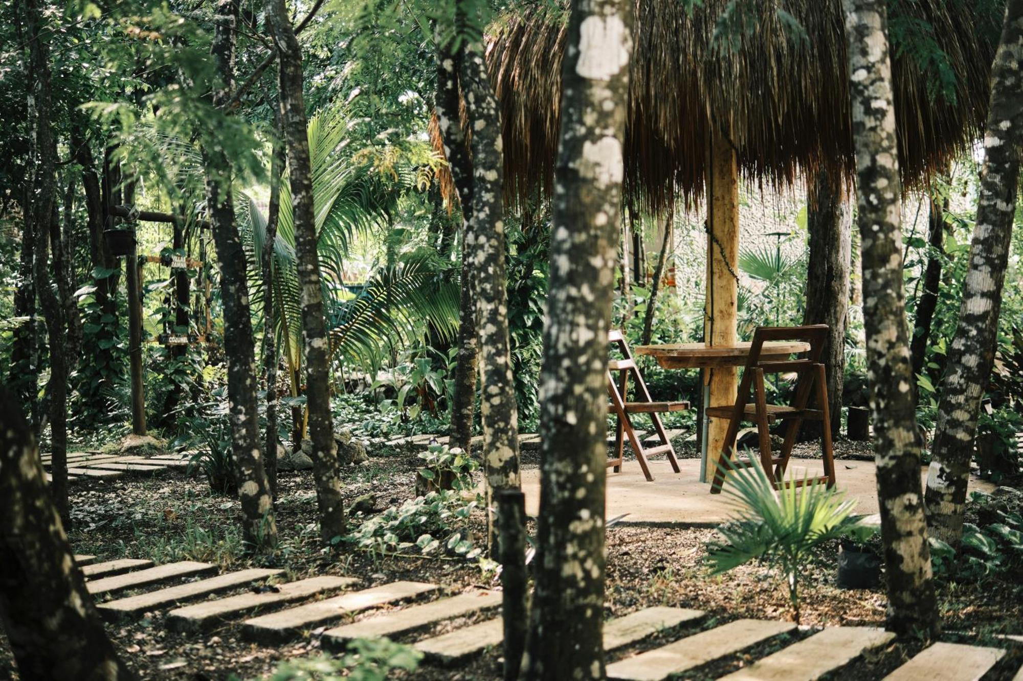 Villas Zamna - Jungle Villas Cozumel Eksteriør bilde