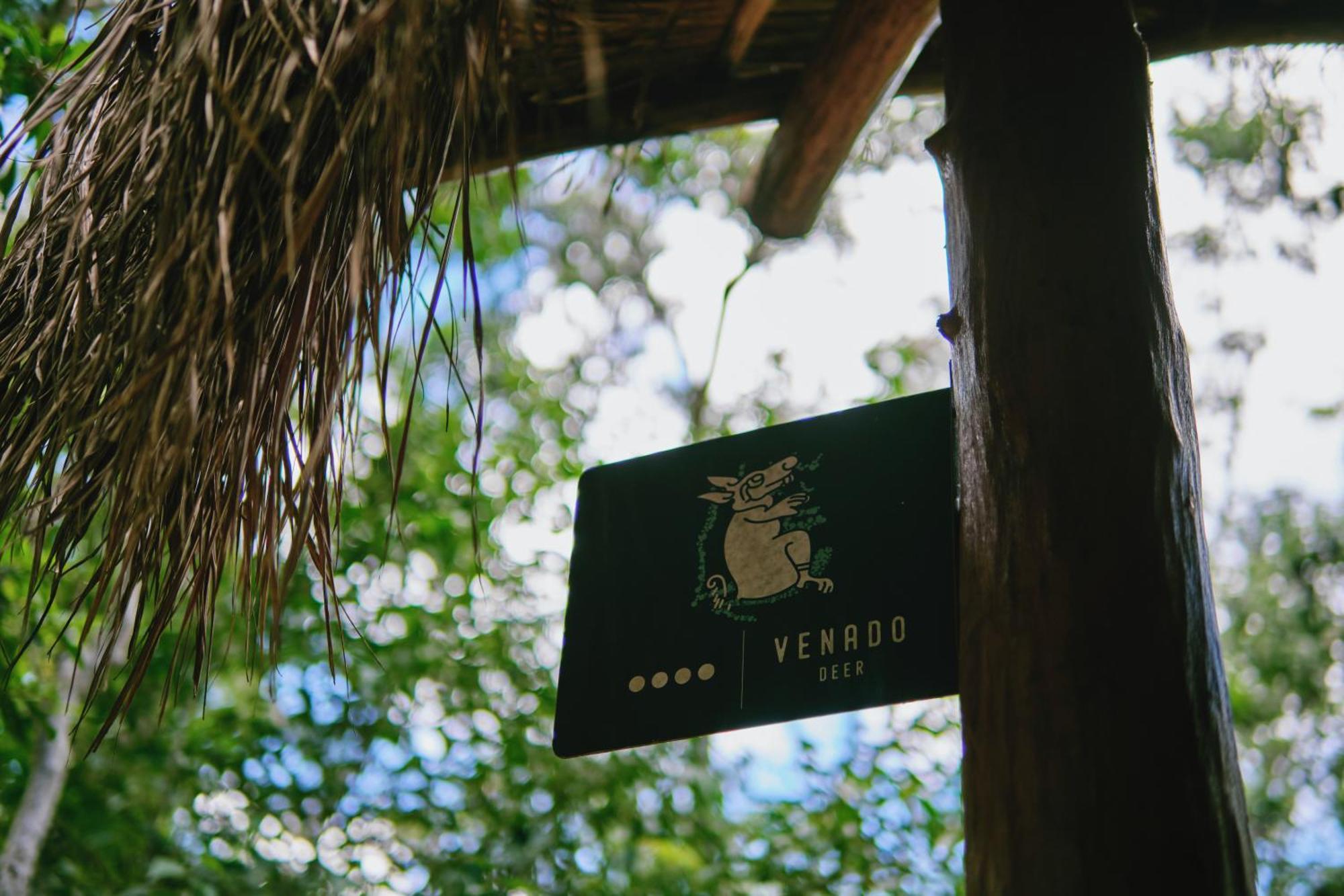 Villas Zamna - Jungle Villas Cozumel Eksteriør bilde